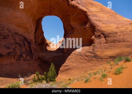 Ohr des Windes. Schlagloch Natural Arch in Sandstein erodiert. Navajo Tribal Park von Monument Valley, Arizona, Utah, USA Stockfoto