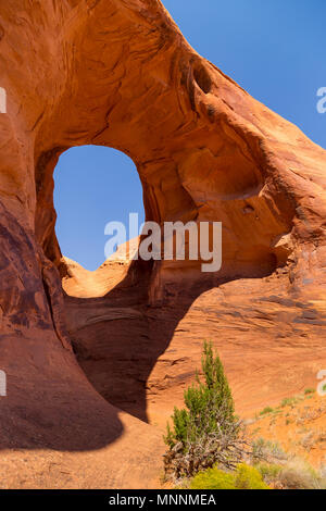 Ohr wenn der Wind. Schlagloch Natural Arch in Sandstein erodiert. Navajo Tribal Park von Monument Valley, Arizona, Utah, USA Stockfoto