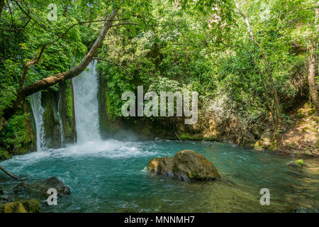 Die banias (banyas) Wasserfall der Hermon Stream (Banias) Nature Reserve, im Norden Israels Stockfoto