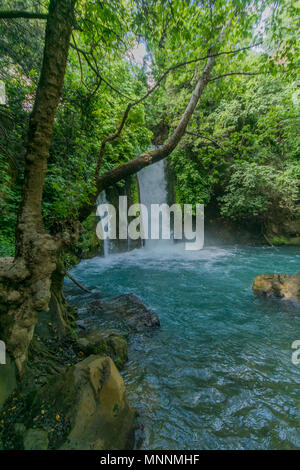 Die banias (banyas) Wasserfall der Hermon Stream (Banias) Nature Reserve, im Norden Israels Stockfoto