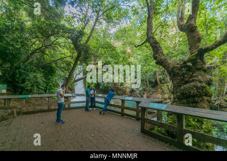 BANIAS, Israel - 14. MAI 2018: Besucher in der Banias (banyas) Wasserfall der Hermon Stream (Banias) Nature Reserve, im Norden Israels Stockfoto