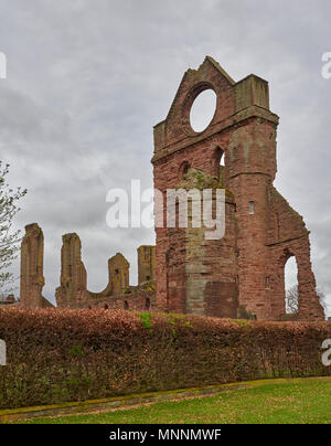 Die südlichen Querschiff von Arbroath Abbey Ruinen mit ihren charakteristischen runden Rundumleuchte Fenster beleuchtet für Seeleute in der Nacht. Arbroath, Angus, Schottland. Stockfoto