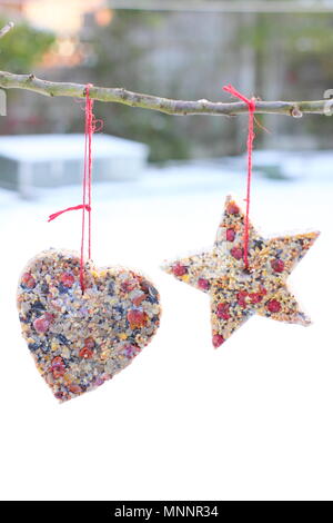 Schritt für Schritt 6/7: Winter berry Futterhäuschen mit ausstechformen. Hausgemachte Herz und sternförmigen Futterhäuschen hängen am Baum im Garten mit Schnee Stockfoto