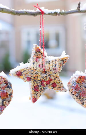 Schritt für Schritt 6/7: Winter berry Futterhäuschen mit ausstechformen. Hausgemachte Herz und sternförmigen Futterhäuschen hängen am Baum im Garten mit Schnee Stockfoto