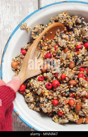 Schritt für Schritt 2/7: Winter berry Futterhäuschen mit Ausstecher. Mix Nüsse, Samen und Beeren mit geschmolzenem Fett. Gut umrühren, um sicherzustellen, dass Fett deckt alle. Stockfoto