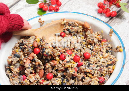 Schritt für Schritt 2/7: Winter berry Futterhäuschen mit Ausstecher. Mix Nüsse, Samen und Beeren mit geschmolzenem Fett. Gut umrühren, um sicherzustellen, dass Fett deckt alle. Stockfoto