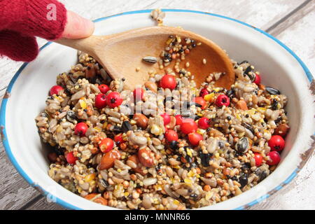 Schritt für Schritt 2/7: Winter berry Futterhäuschen mit Ausstecher. Mix Nüsse, Samen und Beeren mit geschmolzenem Fett. Gut umrühren, um sicherzustellen, dass Fett deckt alle. Stockfoto