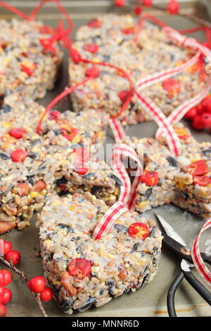 Schritt für Schritt 5/7: Winter berry Futterhäuschen mit Ausstecher. Sorgfältig Fräser und Zweige entfernen. Hinzufügen ribbon oder Garn Kuchen von Baum hängen Stockfoto