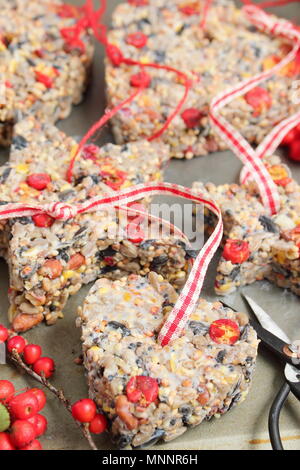 Schritt für Schritt 5/7: Winter berry Futterhäuschen mit Ausstecher. Sorgfältig Fräser und Zweige entfernen. Hinzufügen ribbon oder Garn Kuchen von Baum hängen Stockfoto