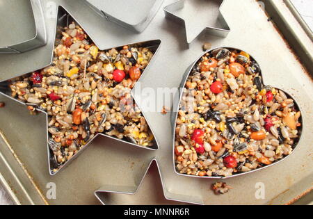 Schritt für Schritt 3/7: Winter berry Futterhäuschen mit ausstechformen. Pack Mischung fest in verschieden geformte Messer Gewährleistung der Ecken erreicht. Stockfoto