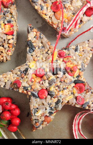 Schritt für Schritt 5/7: Winter berry Futterhäuschen mit Ausstecher. Sorgfältig Fräser und Zweige entfernen. Hinzufügen ribbon oder Garn Kuchen von Baum hängen Stockfoto