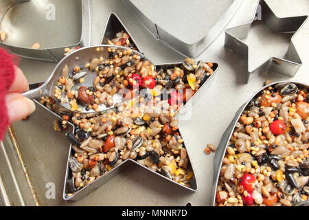 Schritt für Schritt 3/7: Winter berry Futterhäuschen mit ausstechformen. Pack Mischung fest in verschieden geformte Messer Gewährleistung der Ecken erreicht. Stockfoto