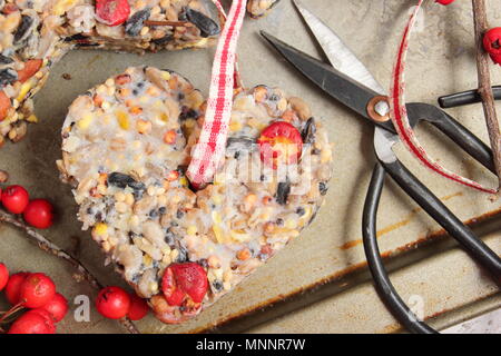 Schritt für Schritt 5/7: Winter berry Futterhäuschen mit Ausstecher. Sorgfältig Fräser und Zweige entfernen. Hinzufügen ribbon oder Garn Kuchen von Baum hängen Stockfoto