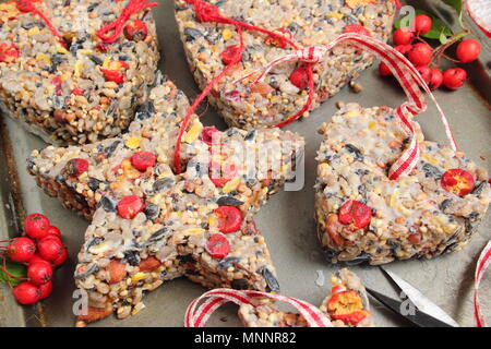 Schritt für Schritt 5/7: Winter berry Futterhäuschen mit Ausstecher. Sorgfältig Fräser und Zweige entfernen. Hinzufügen ribbon oder Garn Kuchen von Baum hängen Stockfoto