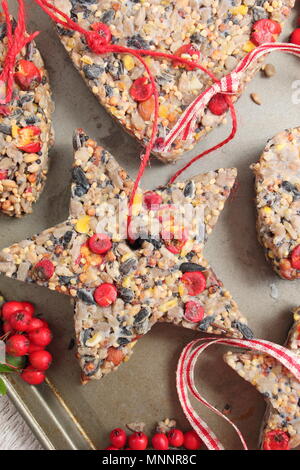 Schritt für Schritt 5/7: Winter berry Futterhäuschen mit Ausstecher. Sorgfältig Fräser und Zweige entfernen. Hinzufügen ribbon oder Garn Kuchen von Baum hängen Stockfoto