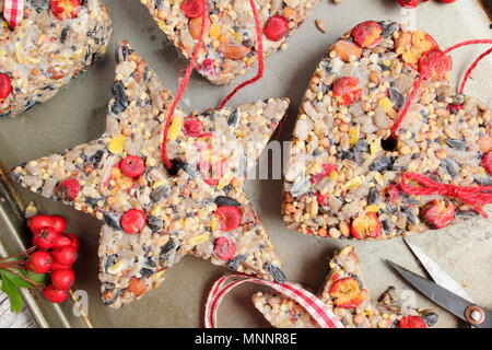 Schritt für Schritt 5/7: Winter berry Futterhäuschen mit Ausstecher. Sorgfältig Fräser und Zweige entfernen. Hinzufügen ribbon oder Garn Kuchen von Baum hängen Stockfoto