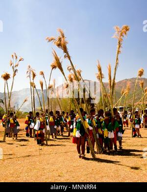 Frauen in traditionellen Kostümen am Umhlanga aka Reed Dance Zeremonie marschieren - 01-09-2013 Lobamba, Swasiland Stockfoto