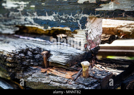 Verrottendes Holz Detail eines alten cargo Aufsch. Stockfoto
