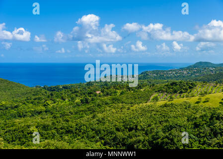 Tropischer Regenwald auf der karibischen Insel St. Lucia. Es ist ein Paradies mit einem weißen Sandstrand und Meer turquoiuse. Stockfoto