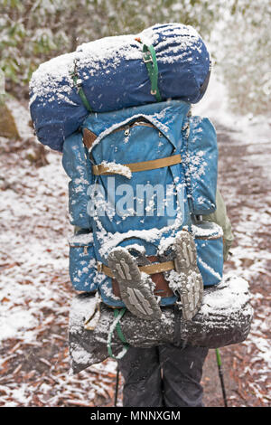 Backpacker in einem Frühling Schneesturm in den Smokey Mountains Stockfoto