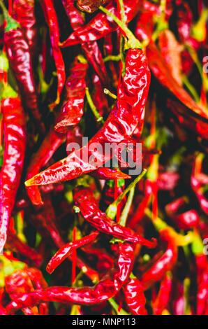 Hängende getrocknete rote Peperoni Stockfoto