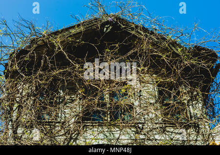 Abgebrochene haunted House in Istanbul, Türkei Stockfoto