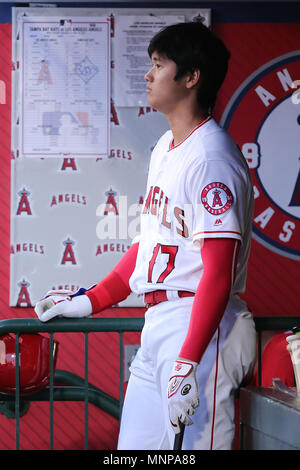 Anaheim, Kalifornien, USA. Mai 18, 2018: Los Angeles Engel Krug Shohei Ohtani (17) Watche das Spiel aus dem Dugout im Spiel zwischen den Tampa Bay Rays und Los Angeles Engel von Anaheim Angel Stadium in Anaheim, CA, Fotograf: Peter Joneleit Credit: Cal Sport Media/Alamy leben Nachrichten Stockfoto