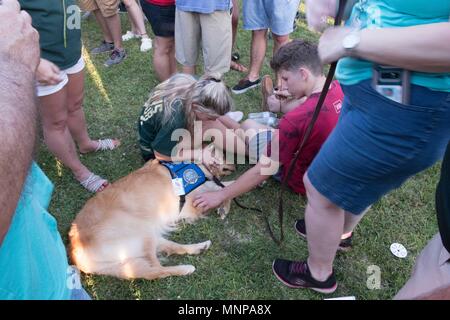 Santa Fe, Texas, USA. 18 Mai, 2018. Service Hund am Denkmal. Dabei waren zehn Menschen getoetet und 10 weitere am Freitag, wenn ein Student bewaffnet mit einer Schrotflinte und einen Revolver eröffneten das Feuer an einer High School im US-Bundesstaat Texas in den Vereinigten Staaten Im neuesten Ereignis der Pistole Gewalt gegen Studenten Kredit: Carolina Sanchez-Monge/ZUMA Draht/ZUMAPRESS.com/Alamy Leben Nachrichten verwundet Stockfoto