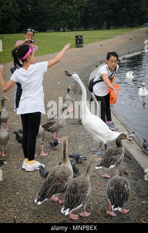 London, Großbritannien. 19 Mai, 2018. Die Mädchen feed der Schwan in der Nähe von See Serpentine Lake Credit: Aleksei Sukhorukov/ZUMA Draht/Alamy leben Nachrichten Stockfoto