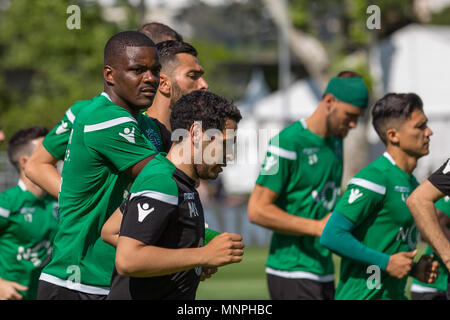 Lissabon, Portugal, 19. Mai 2018. Sportings Mittelfeldspieler aus Portugal William Carvalho (14), die in Aktion während der Praxis für das Finale des portugiesischen Pokal © Alexandre de Sousa/Newzulu Credit: Alexandre Sousa/Alamy leben Nachrichten Stockfoto