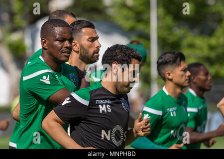 Lissabon, Portugal, 19. Mai 2018. Sportings Mittelfeldspieler aus Portugal William Carvalho (14), die in Aktion während der Praxis für das Finale des portugiesischen Pokal © Alexandre de Sousa/Newzulu Credit: Alexandre Sousa/Alamy leben Nachrichten Stockfoto