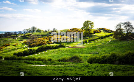 Hügel und Mountainbike-strecken der Hadleigh Park in der Nähe von Benfleet, Essex, Großbritannien Stockfoto