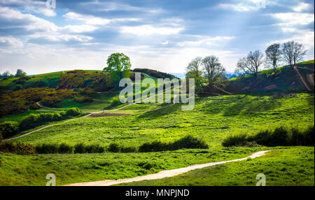 Hügel und Mountainbike-strecken der Hadleigh Park in der Nähe von Benfleet, Essex, Großbritannien Stockfoto