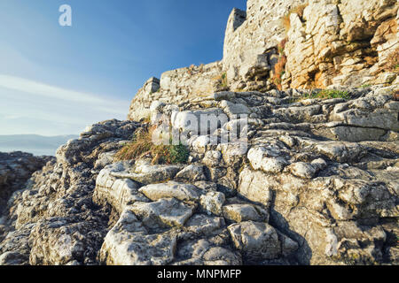 Erodierte Klippe Detail der Penmon Strand in Anglesey in Nord Wales, Großbritannien Stockfoto