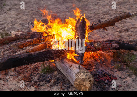 Kleine Lagerfeuer im Frühjahr Wald. Lagerfeuer im Frühjahr Wald. Kohlen Stockfoto