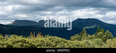 Sicht auf die Berge, die die Stadt von Hogsback seinen Namen geben. Stockfoto