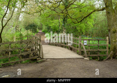 Pooh Brücke berühmt gemacht durch den Autor A.A. Milne in den Kinderbüchern von Winnie the Pooh, die sich im Ashdown Forest, East Sussex, England, Großbritannien, befinden. Stockfoto