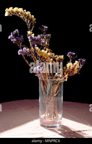 Getrocknete Blumen in glass vase Stockfoto