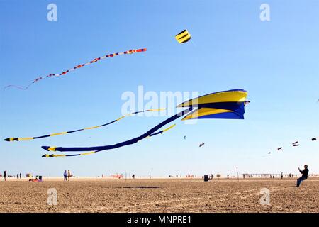 Mai 26, 2013 - Wildwood, NJ, USA: ein Mann kämpft eine enorme Kite an der jährlichen Wildwoods International Kite Festival in Wildwood, New Jer zu steuern Stockfoto