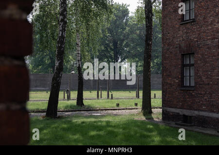 In den stacheldrahtzaun an der nationalsozialistischen Konzentrationslager Auschwitz Stockfoto