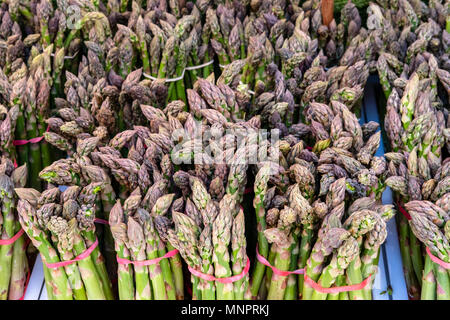 Die Trauben des frischen, organischen Spargel gesehen auf einem Markt im Frühsommer. Die Trauben werden zusammen mit elastischen Bändern gehalten. Stockfoto