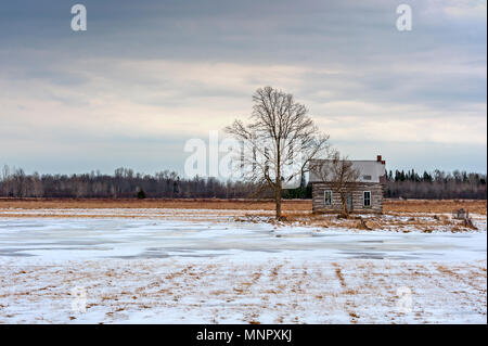 Traditionelle Home Log in gefrorenen Schnee bedeckten Wiese Stockfoto