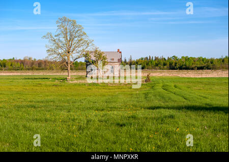 Traditionelle Home Log in der Wiese Stockfoto