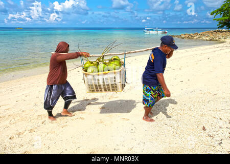 Zwei Männer, die einen Korb voller Kokosnüsse am Strand der Insel Lengkuas in Belitung, Bangka Belitung, Indonesien, tragen Stockfoto