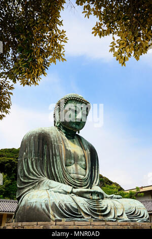 Sitzender Buddha Amida Nyorai, buddhistische Tempel Kōtoku-in, Kamakura, Insel Honshu, Japan Stockfoto