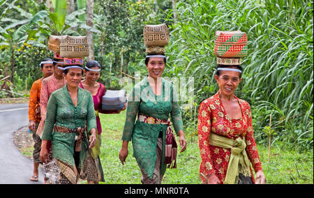 BALI - Januar 24: Indonesische Frauen tragen Angebote in Körben auf dem Kopf in einer Prozession zum Dorf Tempel Januar 24, 2012 in Bali, Indonesi Stockfoto