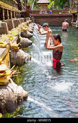TAMPAK SIRING, Bali, Indonesien - 26. Januar: die Menschen beten und in den heiligen Quellwasser Tempel Pura Tirtha Empul während des Reinigungsprozesses Zeremonie am 26. Januar Stockfoto
