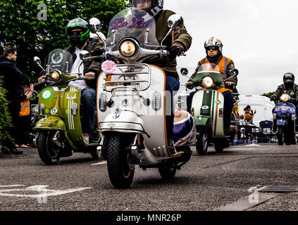 Reiten Sie auf einen Scooter Rally, Gosport Hampshire uk Stockfoto