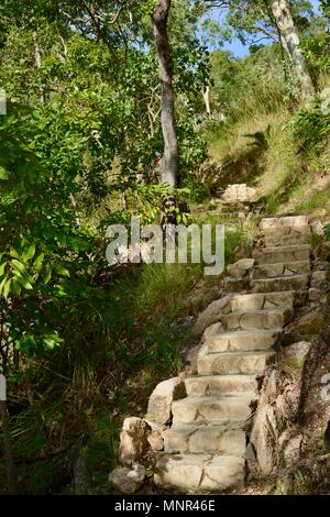 Vorgeformte Stein wie konkrete Schritte in den Wald, Jourama Falls, Bruce Hwy, Yuruga QLD, Australia, Stockfoto