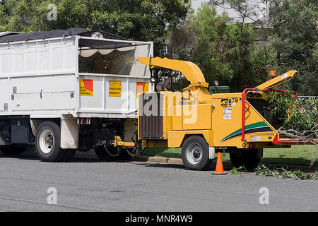 Sehr laut Baum Shredder macht nützliche Mulch aus ungewollten Zweige Stockfoto